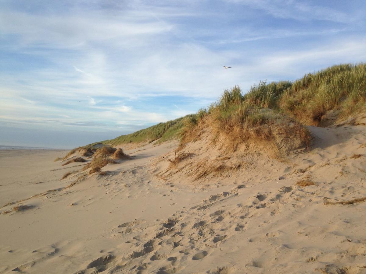 Beachhouses Texel De Koog  Ngoại thất bức ảnh